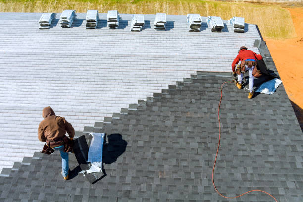 Best Chimney Flashing Repair  in Daisetta, TX